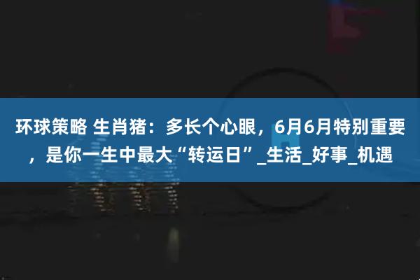 环球策略 生肖猪：多长个心眼，6月6月特别重要，是你一生中最大“转运日”_生活_好事_机遇